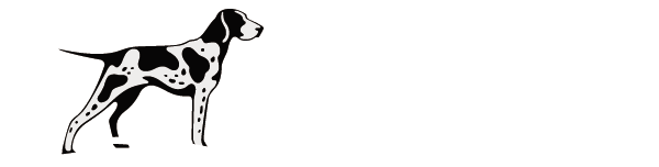 Waves Wellness Studio, Clayton NY